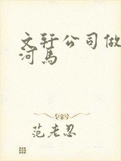 文轩公司做扩张河马