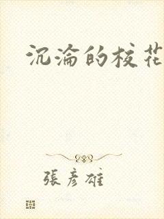 沉沦的校花