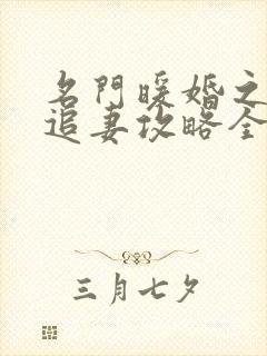 名门暖婚之权爷追妻攻略全文免费阅读