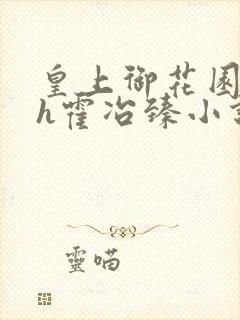 皇上御花园hlh霍冶臻小说封面