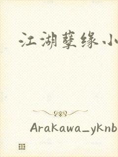 江湖孽缘小说