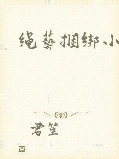 绳艺捆绑小说