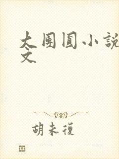 大团圆小说集全文