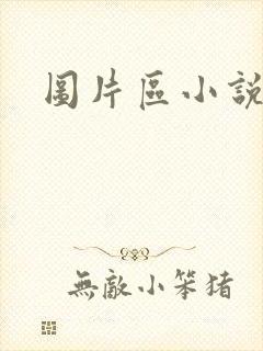 图片区小说区