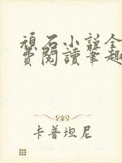 顽石小说全文免费阅读笔趣阁