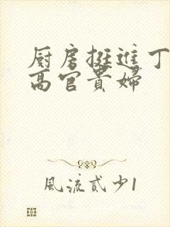 厨房挺进丁字裤高官贵妇