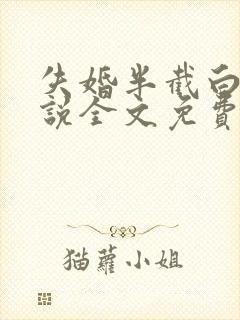 失婚半截白菜小说全文免费阅读封面