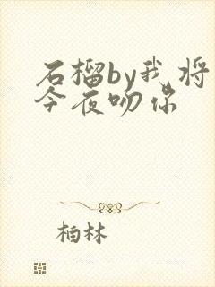 石榴by我将在今夜吻你