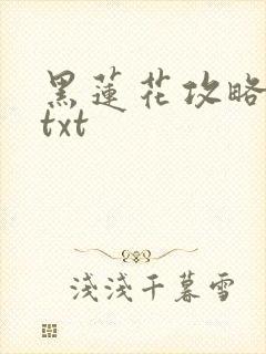 黑莲花攻略手册txt封面