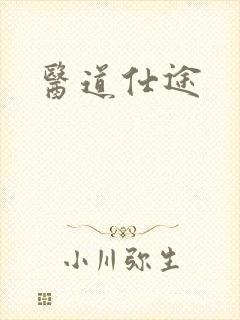 医道仕途封面