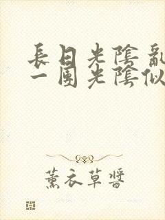 长日光阴 乱作一团光阴似箭封面