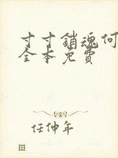 寸寸销魂何生祥全本免费