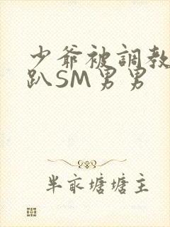 少爷被调教室跪趴SM男男
