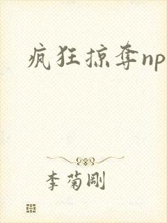 疯狂掠夺npc