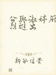 公与淑婷厨房猛烈进出封面