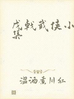 戊戟武侠小说全集