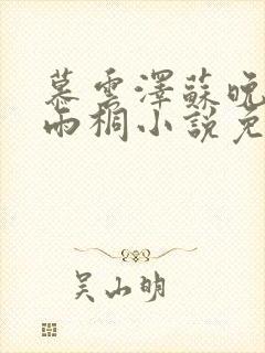 慕云泽苏晚晴夏雨桐小说免费阅读