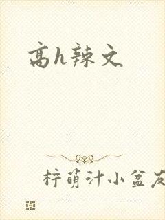 高h辣文