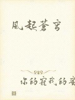 风起苍穹