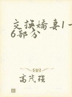交换娇妻1一36部分