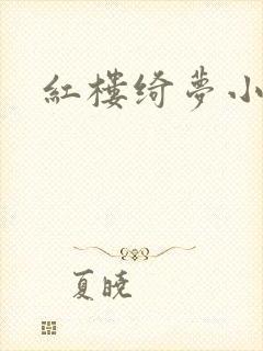 红楼绮梦小说