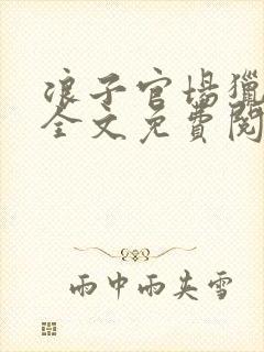 浪子官场猎艳记全文免费阅读