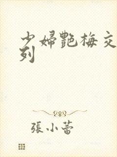 少妇艳梅交换系列封面