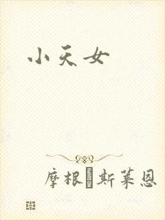 小天女封面
