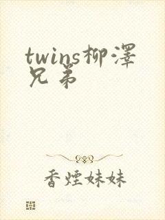 twins柳泽兄弟