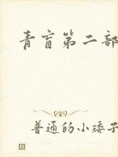 青盲第二部封面