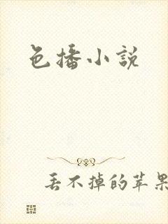 色播小说