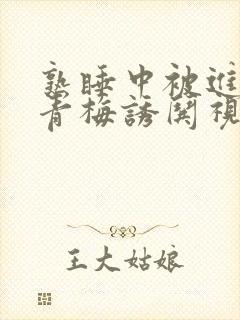 熟睡中被进了H青梅诱哄视频