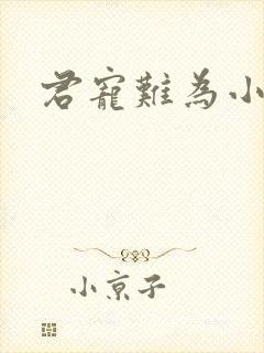 君宠难为小说