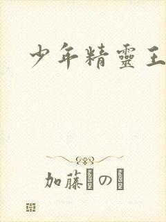 少年精灵王封面