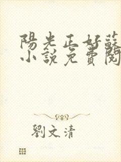 阳光正好苏玥玥小说免费阅读无弹窗