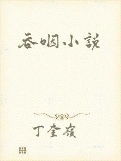 吞咽小说