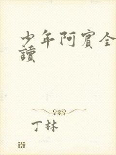 少年阿宾全集阅读