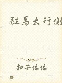 驻马太行侧