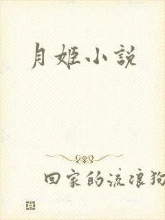 月姬小说