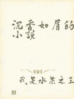 沉香如屑的原著小说