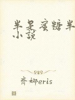 半是蜜糖半是伤小说