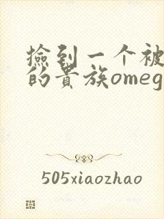捡到一个被抹布的贵族omega