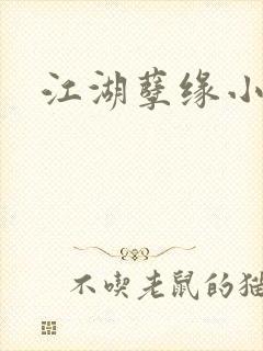 江湖孽缘小说封面