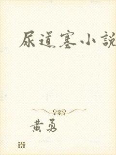 尿道塞小说
