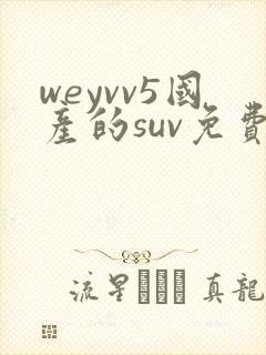 weyvv5国产的suv免费封面