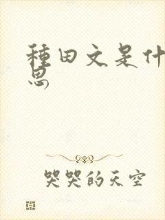 种田文是什么意思