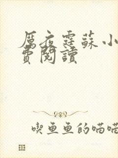 厉夜霆苏小汐免费阅读