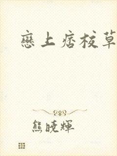 恋上痞校草