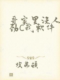 哥家里没人使点劲C我软件