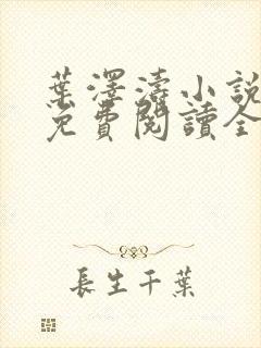 叶泽涛小说全文免费阅读全文封面